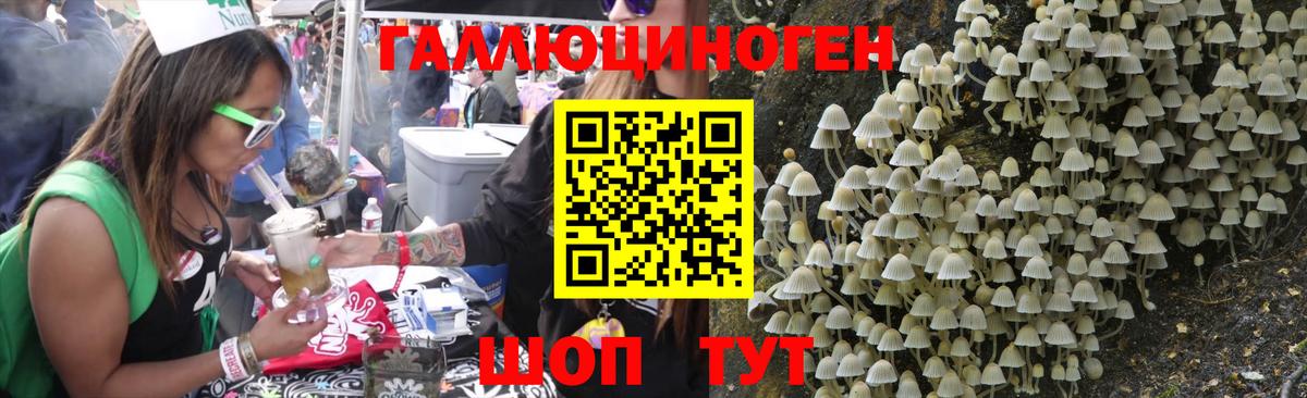 Псилоцибиновые грибы мухоморы Киров